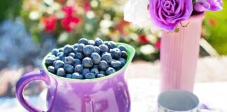 Forbes’ Top-Rated Diet Plans