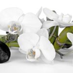 Achieving a Healthy Balance During the Holidays – Forbes