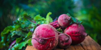 Study Finds Majority of Baby Foods in the U.S. Fail to Meet Nutritional Guidelines, NPR Reports