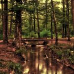 Vogue’s Definitive Guide to Wellness Gifts