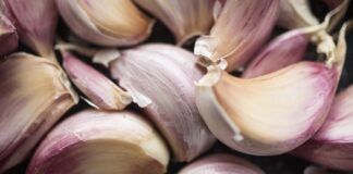 Analyzing the Effects of Dietary Guideline Changes on Cardiometabolic Risk: A Detailed Examination Using Diet Quality Metrics – Nature.com