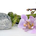 Health and wellness fair in Dearborn this weekend – Dearborn Press and Guide