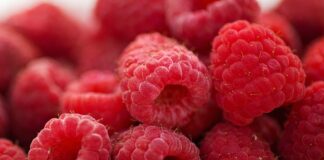 Mexican dietary guidelines encourage affordable and eco-friendly eating habits – Nature.com