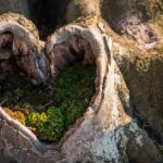 Guide to Healthy Aging: Tips for Wellness at Every Life Stage – Racine County Eye