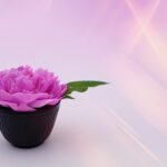 43 Christmas Gifts for the Self-Care Enthusiast: Health, Fitness, and Wellness Ideas for Women