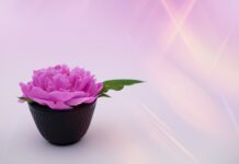 43 Christmas Gifts for the Self-Care Enthusiast: Health, Fitness, and Wellness Ideas for Women