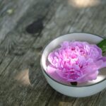 Boost Your Autumn Wellness with This Guide from Times Square Chronicles